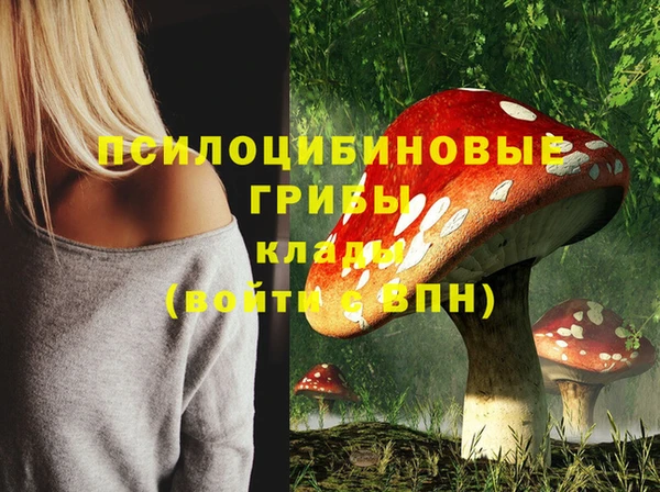 молекула духа Елабуга