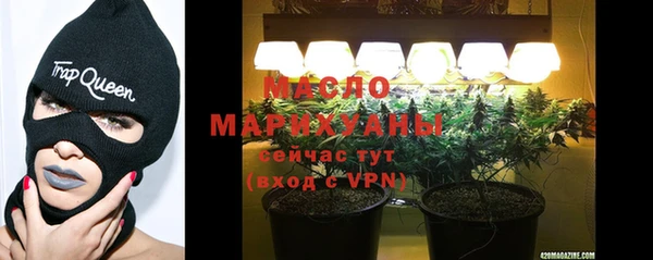 молекула духа Елабуга