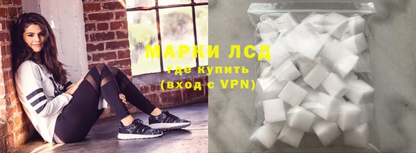 молекула духа Елабуга