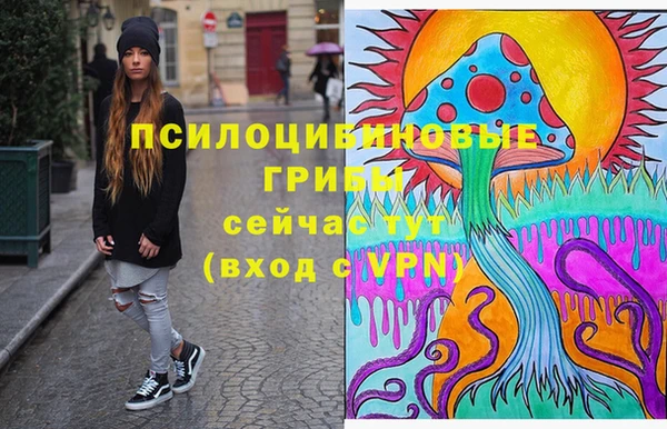 мдпв Елизово