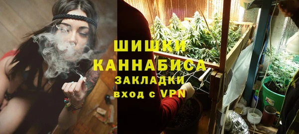 молекула духа Елабуга