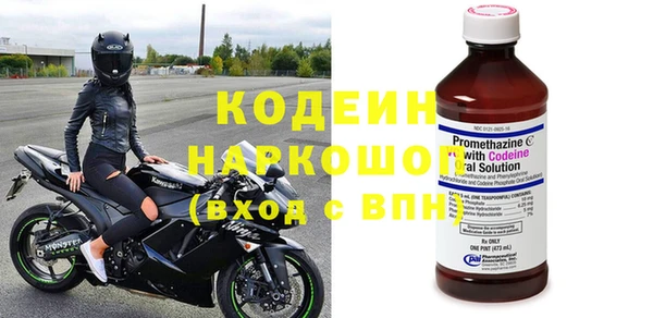 мдпв Елизово