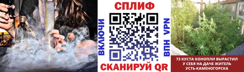 Бошки Шишки SATIVA & INDICA  Октябрьский 